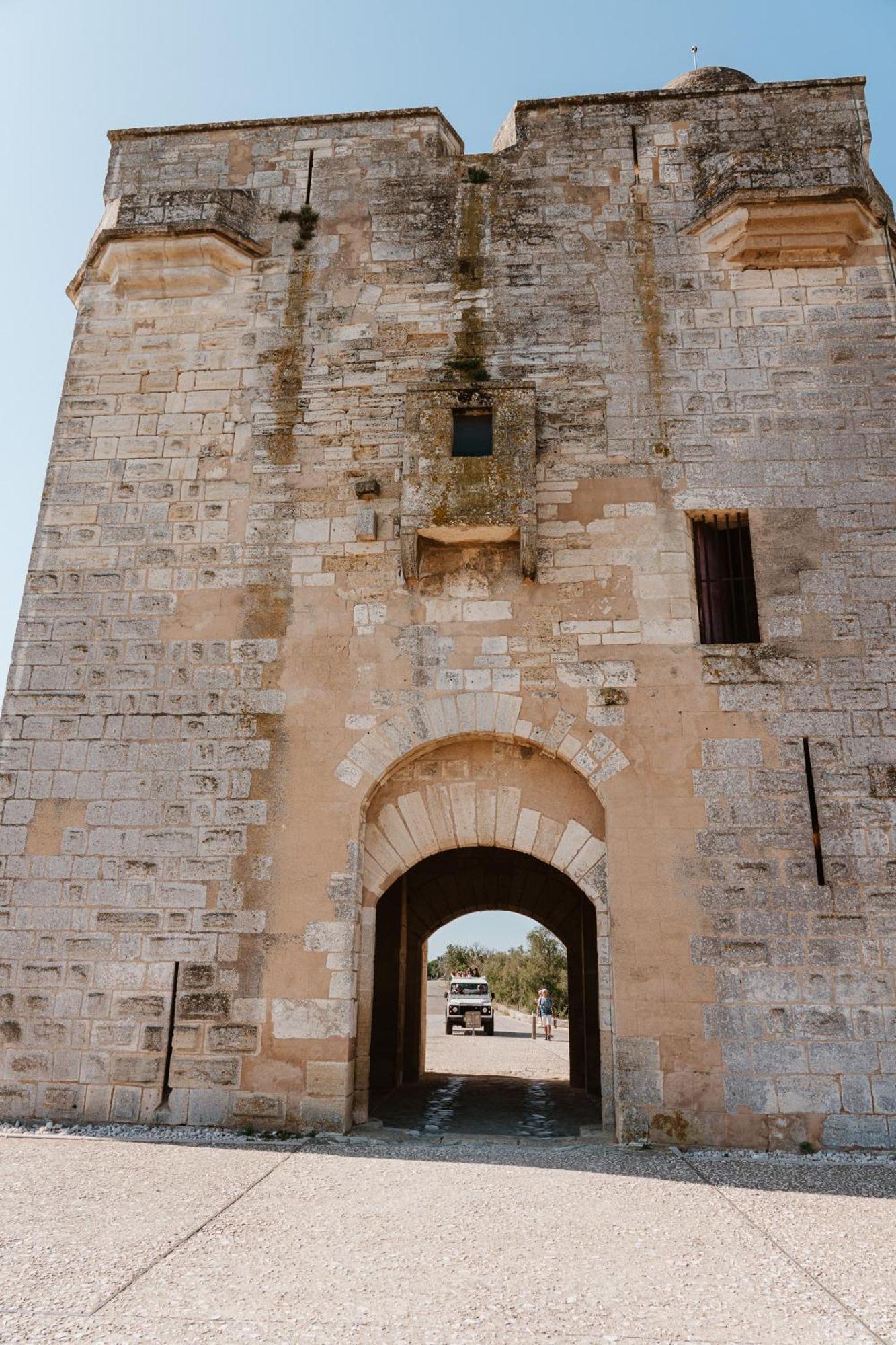Maison Arthur Aigues-Mortes Dış mekan fotoğraf